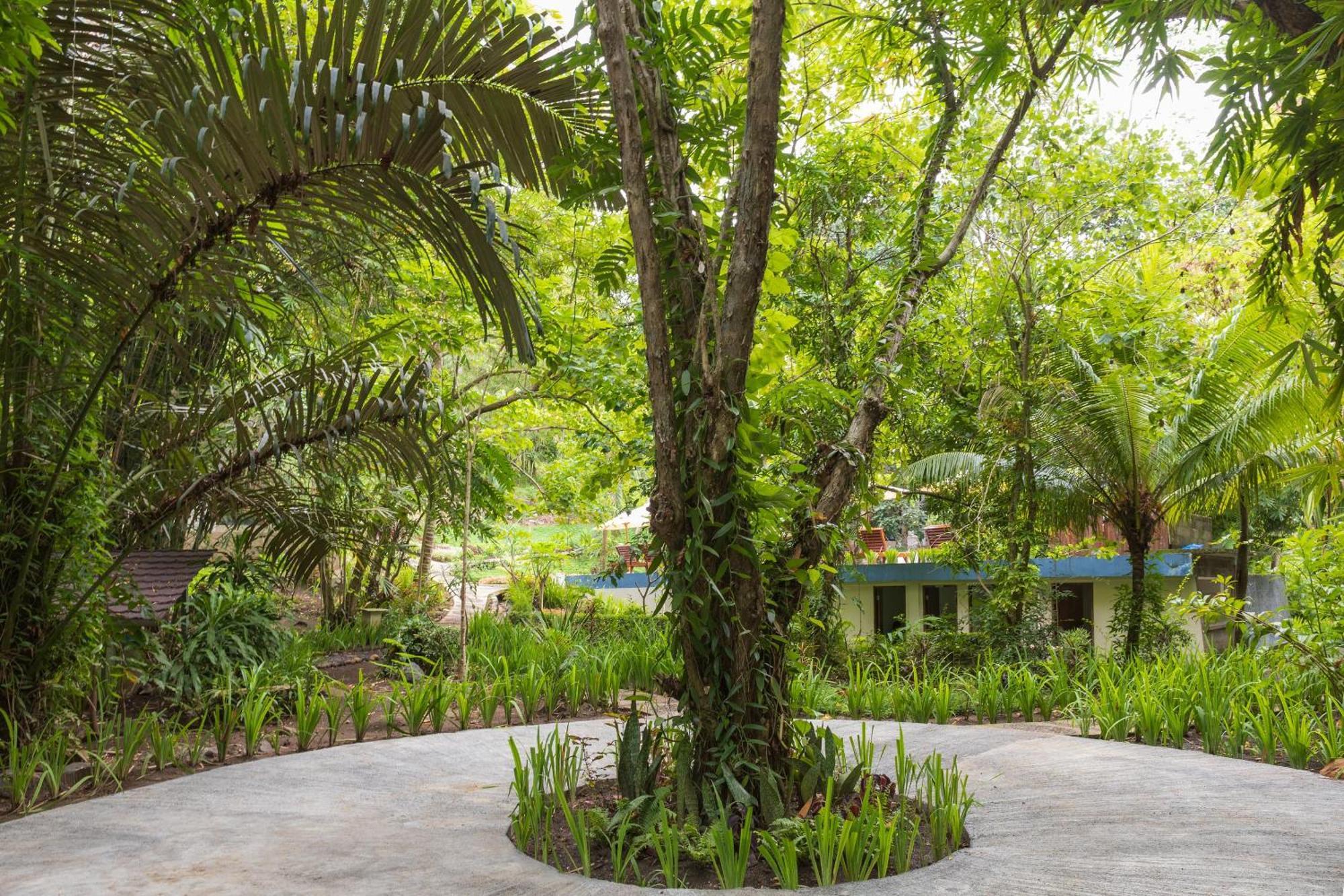 Thalassa Dive & Wellbeing Resort Manado Bagian luar foto